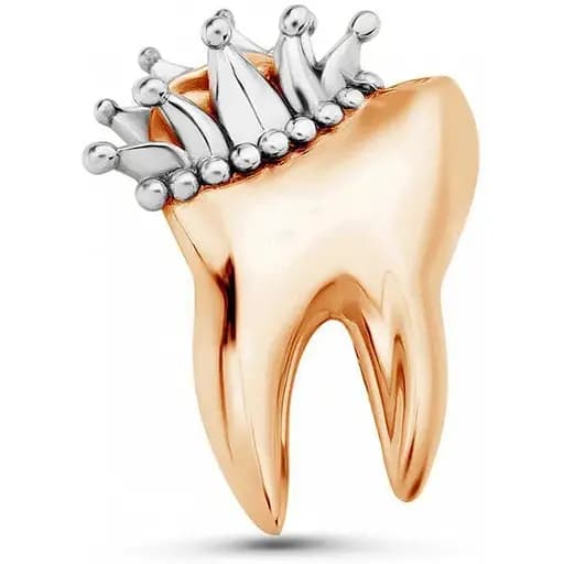 Брошь Зуб (158511337) - фото 1