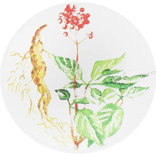 Скраб-мило для глибокого очищення Vigor CN Женьшень 50 мл - фото 2