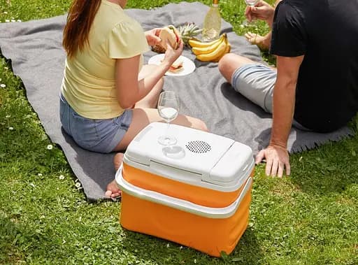 Автомобильный холодильник портативный дорожный Sencor CM-1122 12 В 22 л - фото 10