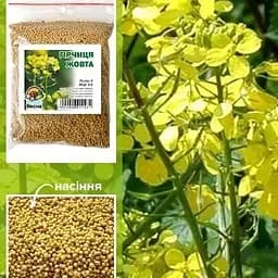 Насіння Весна гірчиця жовта 100 г (13698)
