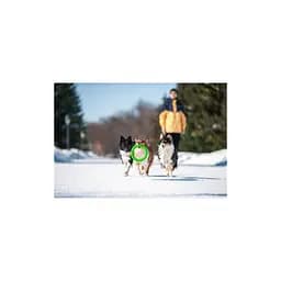 Іграшка для собак Collar PitchDog Кільце для апортування 17 см салатове (62365) - мініатюра 6