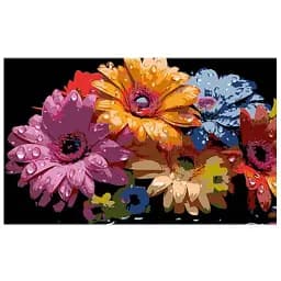 Картина за номерами на чорному фоні Strateg Феєричні гербери 50х25 см