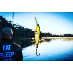 Воблер Jackall Squirrel 76SP 76mm 8.6g HL Gold & Black - мініатюра 9