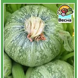 Семена Весна на развес Кабачок Колобок цена за 8 г (184218)