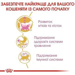 Сухий корм для британських короткошерстих кошенят Royal Canin British Shorthair Kitten з м'ясом птиці 0.4 кг - мініатюра 5