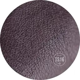 Пресовані тіні для повік Sinart Extra Dimension Velor Eyeshadow TS16 1.5 г - мініатюра 2