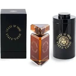 Парфюмированная вода оригинал State Of Mind Modern Nomad 100 мл