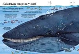 Велика книга тварин - мініатюра 5
