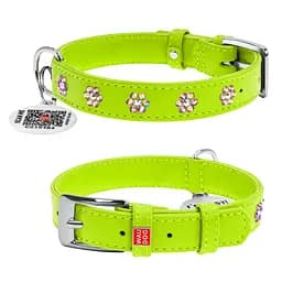 Нашийник для собак шкіряний Waudog Glamour з QR-паспортом з клейовими стразами "Квіти" Ш 20 мм Д 30-39 см