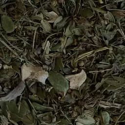 Збір трав'яний нирковий, 100 г, (Своє виробництво)