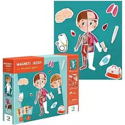 Магнитная игра DoDo Тело (200200)