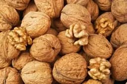 Саджанець Agro-Market Волоський горіх Велетень (середній термін дозрівання) 1 шт. в упаковці (53327) - мініатюра 3