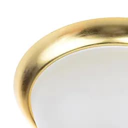 Світильник настінно-стельовий накладний Brille BR-02 257/2 - мініатюра 2
