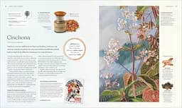 The Herb Book - мініатюра 7