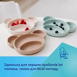 Силіконова тарілка на присосці Canpol Babies Ведмедик (51/401_gre) - мініатюра 5