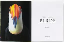 Birds. Photographs - мініатюра 3