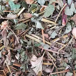 100 г анемона белая/ветреница дубравная трава сушеная - свежий урожай