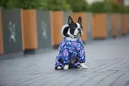 Комбінезон для собак Waudog Clothes, Рік та Морті 1, S40 - мініатюра 3