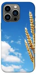 TPU чохол Пшениця