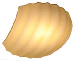 Світильник настінний NNB Lightning Camilla 31522