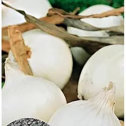 Насіння Весна на вагу Цибуля Біла королева ціна за 3 г (32173)