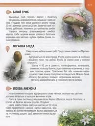 Енциклопедія для допитливих А5 : Рослини і тварини України (Українська ) - мініатюра 8