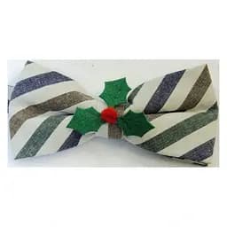 Краватка-метелик Лист Омели