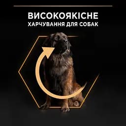 Сухий корм для дорослих собак великих порід Purina Pro Plan Large Robust Adult з куркою 14 кг (12375799) - мініатюра 6