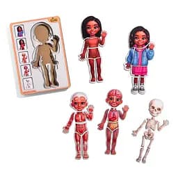 Дерев'яний пазл-вкладиш "Анатомія людини - дівчинка-3" Ubumblebees (ПСД264) PSD264 будова тіла