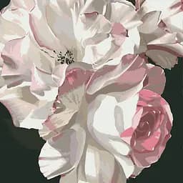 Комплект картин за номерами Riviera Blanca Півонії (ITR-077) 2 шт в наборі