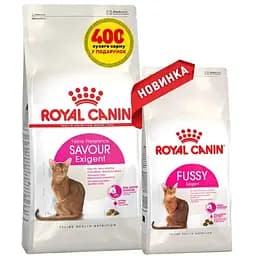 Сухой корм для прихотливых кошек Royal Canin Exigent Protein 2 кг + Сухой корм Royal Canin Exigent Fussy для взрослых кошек с привередливым аппетитом 400 г 