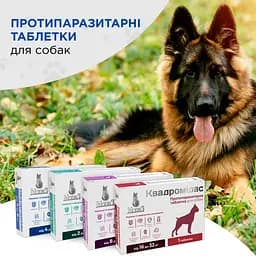 Протипаразитарна таблетка Modes Квадромідас для собак 2-4 кг 0.2 г - мініатюра 5