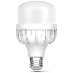 Лампочка TITANUM A80 20W E27 6500К (TL-HA80-20276)