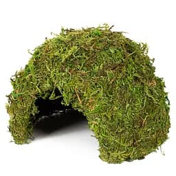 Схованка з моху Repti-Zoo Natural Mossy Dome M 14x10,5см ERS25M для тераріуму, рептилій і геконів, з живим мохом - мініатюра 2