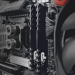 Модуль пам'яті DDR4 Patriot Signature Line Premium 2x8 GB 3200 MHz [PSP416G3200KH1] [124959] - мініатюра 10