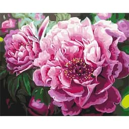 Картина по номерам Brushme Роскошный пион 40x50 см