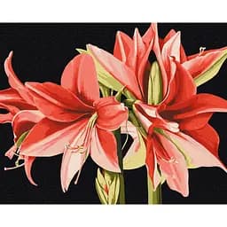 Картина за номерами "Амаріліс" © Anastasiia Osmolovska Brushme BS53725, 40х50 см