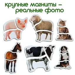 Набір магнітних пазлів Magdum Ферма (ML4031-19 EN) - мініатюра 6