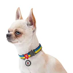Нашийник для собак нейлоновий Waudog Nylon з QR-паспортом "Colors of freedom" металева пряжка-фастекс XXL Ш 35 мм Д - мініатюра 3