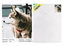 Набір для розпису по номерах Погляд хаскі, Strateg, 40x50 см, DY120