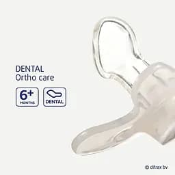 Пустушка силіконова Difrax нічна Dental Night 6+ міс. (GL800) - мініатюра 3