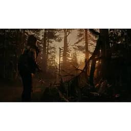Гра Alan Wake II 2 (ваучер на скачування) (українські субтитри) (Xbox Series X S) - мініатюра 4