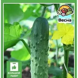 Семена Весна Огурец Лялюк Большой пакет 2 г (32712)