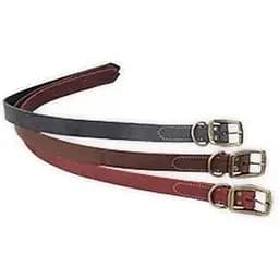 Нашийник для собак Coastal Rustic 2,5см x 60см шкіряний (бордо)