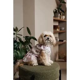 Сукня Pet Fashion Amelia для собак М - мініатюра 8