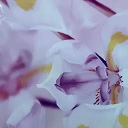 3Д наклейка на холодильник Дикі Іриси вінілова незвичайні Квіти Фіолетовий 60х180 см Happy Pocket Z182152 - мініатюра 4