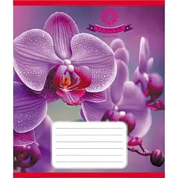 Тетрадь ученическая Орхидея 036-570137K-3 в клетку, 36 листов