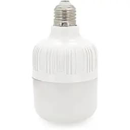Ліхтар Almina DL-2020 30W, 2700Лм, 6400K (DL-2020)