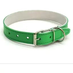 Нашийник для собак Zoo-hunt ОД Фарби шкіряний подвійний зелений 2,0/33-41 см