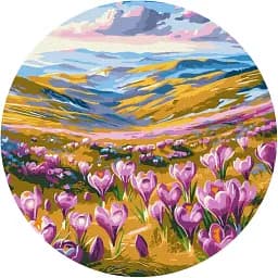 Картина по номерам Brushme Весеннее пробуждение (Размер L) 40x40 см